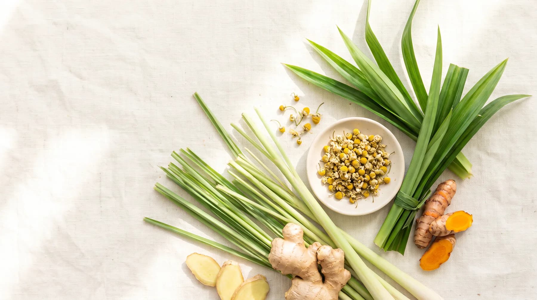 Gừng, sả, lá dứa bày trên vải lanh